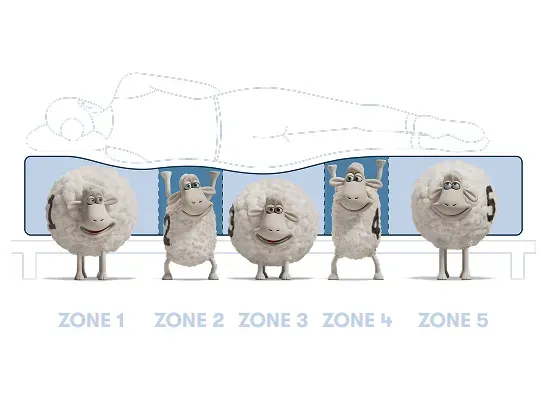 547x420-5-zone-support-06